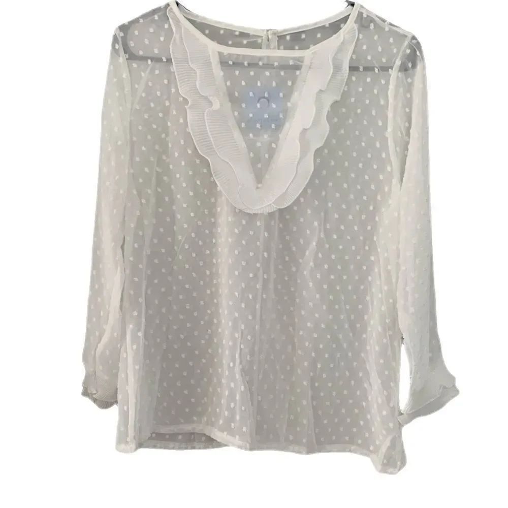 Beautiful Sheer Blouse